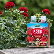 Westland Rose 2 in 1 Feed & Protect – 2 x 500ml
