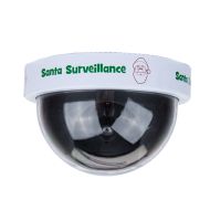 Santa’s Surveillance Camera