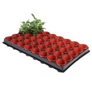 Garland Professional Seed and Cutting Tray