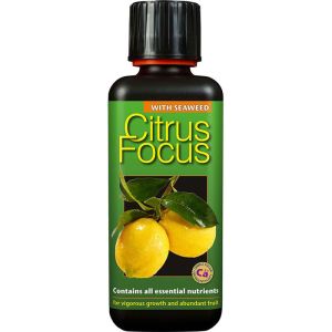 Growth Technology Citrus Focus 300ml