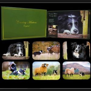 Country Matters Placemats, Pack of 6 – Collie
