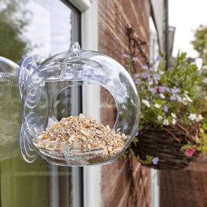 Peckish Globe Window Bird Feeder