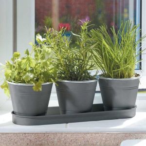 Smart Garden Windowsill Herb Pots – Slate Grey