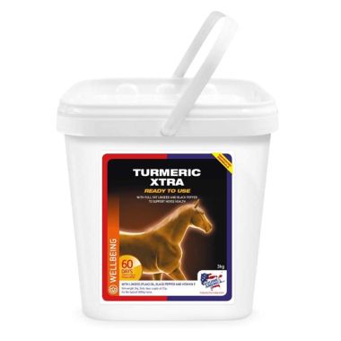 Equine America Turmeric - 3kg