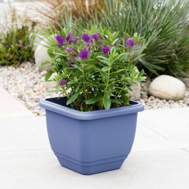 Stewart Garden Patio Planter, 30cm – Cornflower Blue
