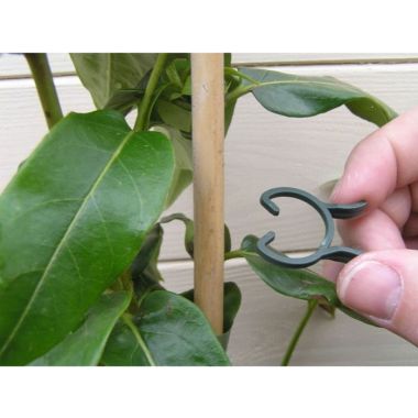 Garland Plant Clips - 50 Pack