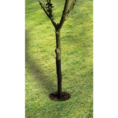 Garland Spiral Tree Guard - 61cm