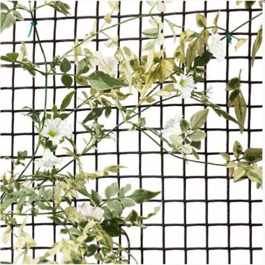 Smart Garden Climbing Plant and Fencing Mesh - 20mm, 0.5m x 5m