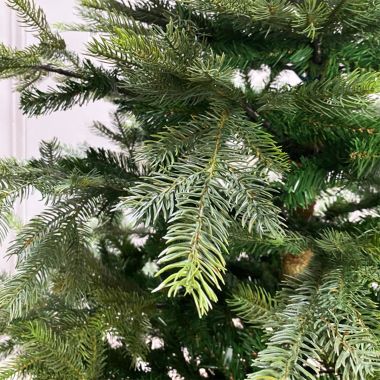 8ft Grandis Fir Artificial Christmas Tree
