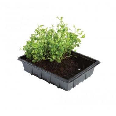 Garland Professional Half Seed Trays - 5 Pack 