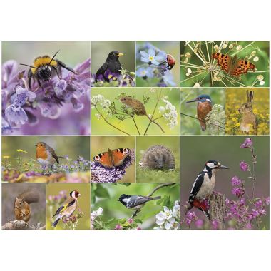 Otter House RSPB - Birds & Wildlife Jigsaw Puzzle - 1000 Piece