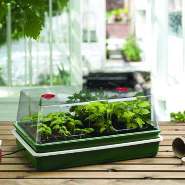Garland Extra Large High Dome Electric Propagator - 59cm
