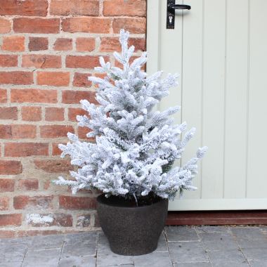 3ft Pre-Lit Mini Snowy Norway Artificial Christmas Tree