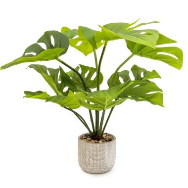 Artificial Cheese Plant Pot