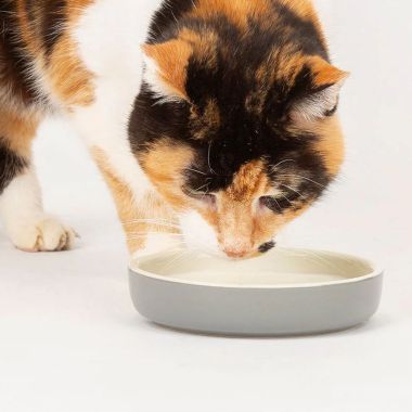 Scruffs Classic Cat & Small Pet Saucer - Grey
