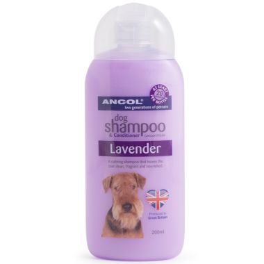 Ancol Lavender Dog Shampoo and Conditioner - 200ml