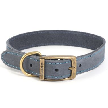 Ancol Timberwolf Leather Dog Collar, Blue - Size 4