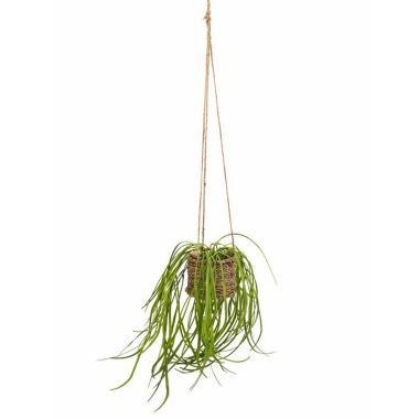 Artificial Spider Plant in Hanging Rattan Basket