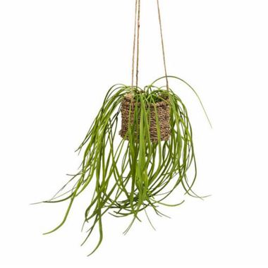 Artificial Spider Plant in Hanging Rattan Basket