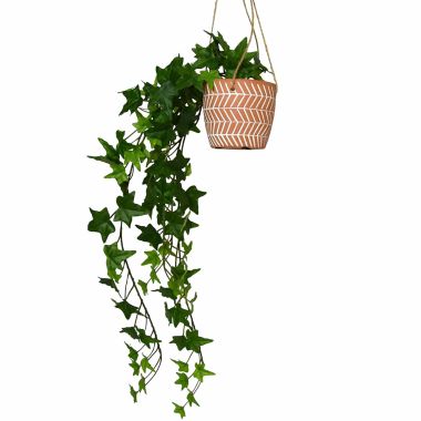 Artificial Trailing Ivy in Hanging Pot