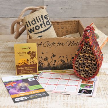Wildlife World Artisan Insect & Bee Hotel Gift Box