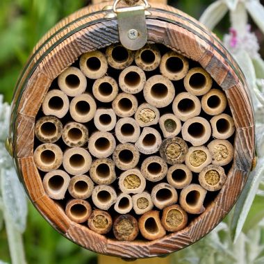 Wildlife World Bee Barrel