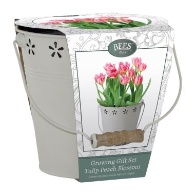 BEE’S Bulb Bucket Grow Set - Peach Blossom Tulip 