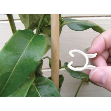 Garland Bio-Based Plant Clips - 25 Pack 
