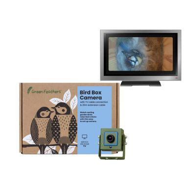Green Feathers Bird Box Camera with TV Connection