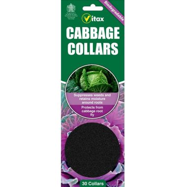 Vitax Cabbage Collars – 30 Pack