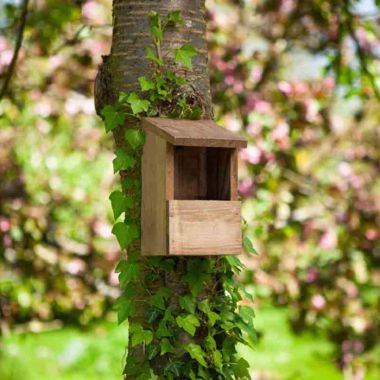 Chapel Wood Classic Robin Nest Box