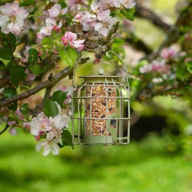 ChapelWood Compact Squirrel Proof Seed Feeder