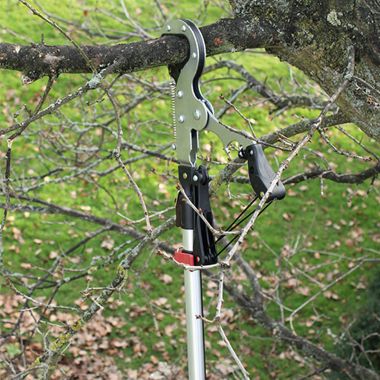 Darlac DP1583 Expert Geared Anvil Tree Pruner