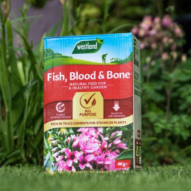 Westland Fish, Blood and Bone Fertiliser – 4kg