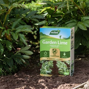 Westland Garden Lime Soil Conditioner - 4kg