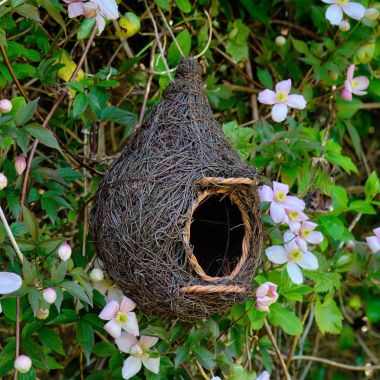 Wildlife World Giant Robin Nest Pocket