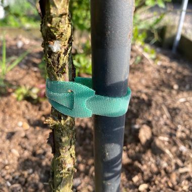 Tildenet Hook & Loop Plant Ties – 12mm x 7.6m