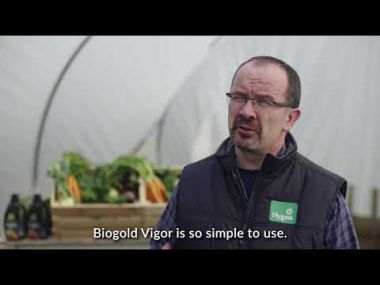 Hygeia BioGold Vigor Tomato & Veg Food – 1 Litre
