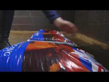 Blue Ribbon Horse Bedding Wood Pellets - 15kg