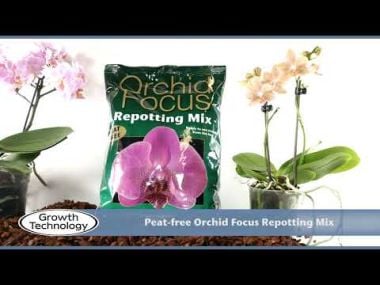 Growth Technology Orchid Pot, 12cm - Clear