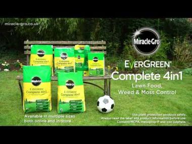 Miracle-Gro Evergreen Complete 4 in 1 Lawn Food Refill Box - 80m²