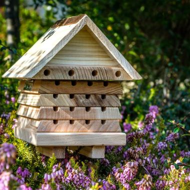 Wildlife World Interactive Solitary Bee Hive