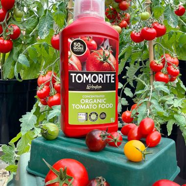 Levington Tomorite Concentrated Organic Tomato Food - 1 Litre