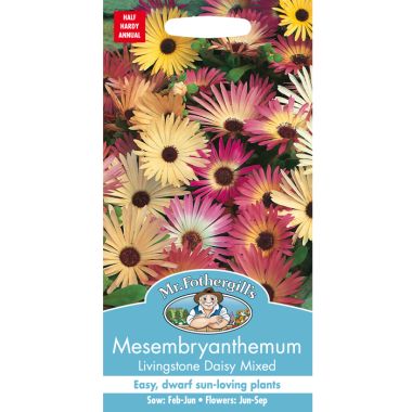 Mr Fothergill's Mesembryanthemum Seeds