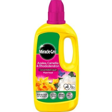 Miracle-Gro Slow Release Ericaceous Liquid Plant Food - 800ml