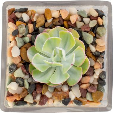 Plant Pot Toppers - Mixed River Rocks, 2.2kg