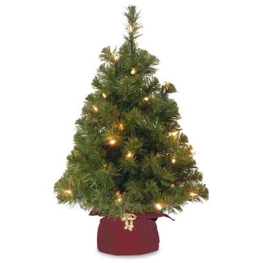 2ft Pre-Lit Mini Noble Spruce Artificial Christmas Tree
