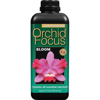 Growth Technology Orchid Focus Bloom 300ml