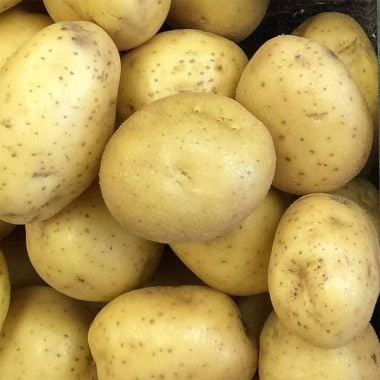 Orla Seed Potatoes, 2kg – Maincrop