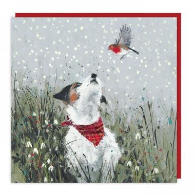 Feathered Friend Christmas Cards - Pack of 6